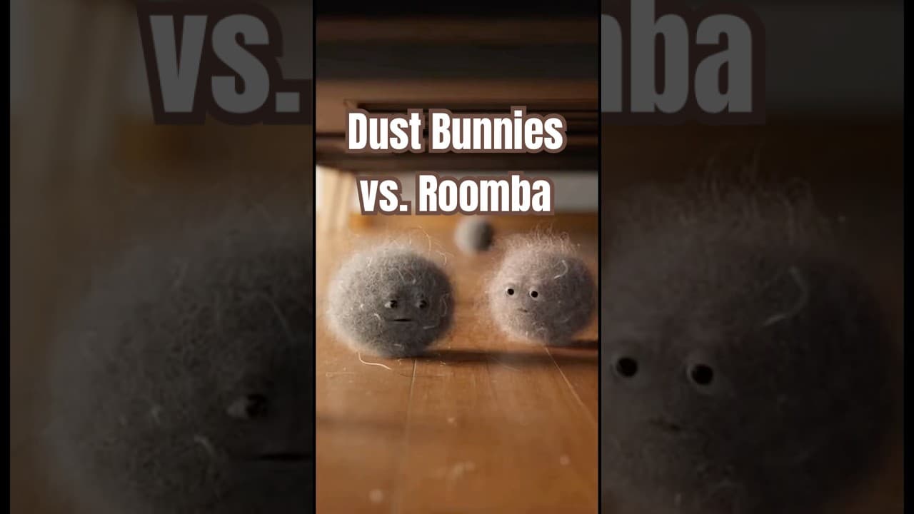 Dust Bunnies vs. Roomba
